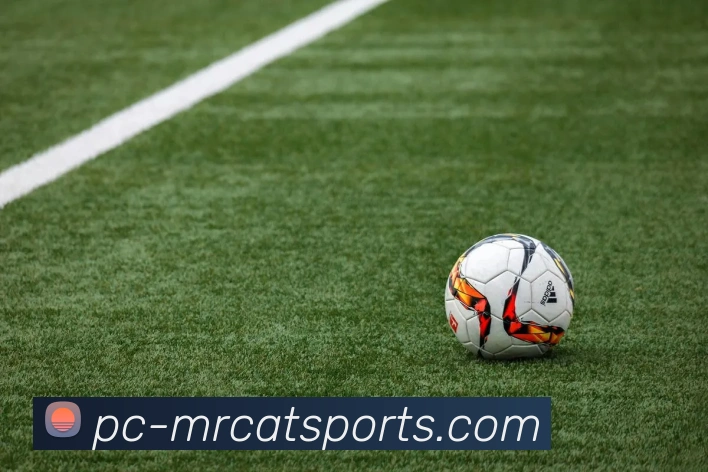 体育下注品牌故事