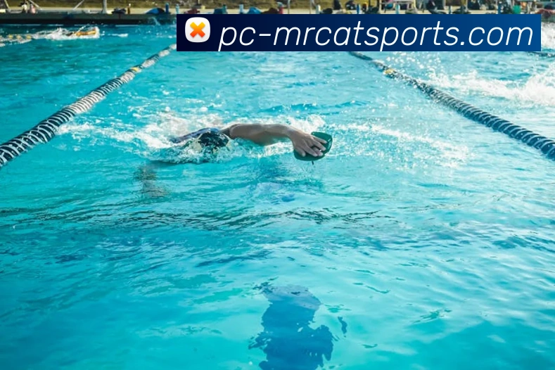 体育下注服务体系